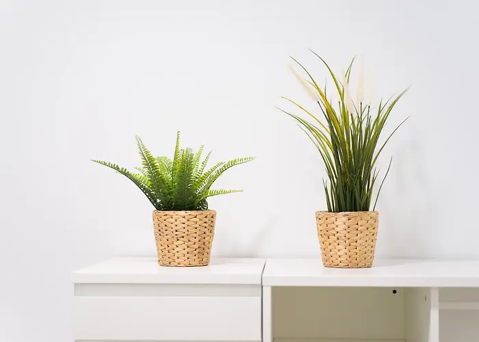 Canteras Blue Reef By Canariasgetaway *